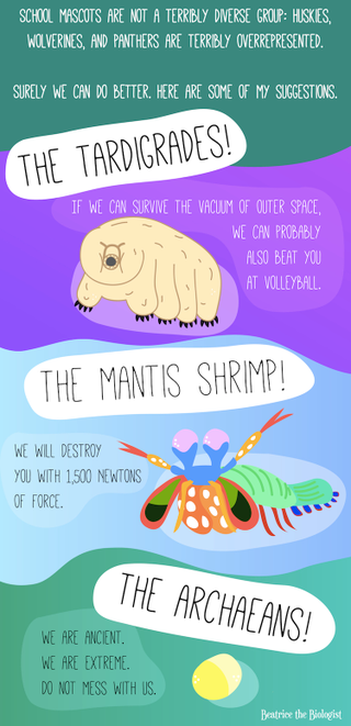 Illustration for article titled Why Not Use The Mantis Shrimp As A School Mascot?